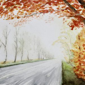 Early morning mist over a road with the autumn trees leaning over the road