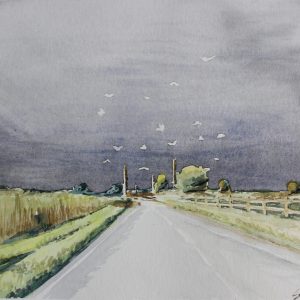 Stormy Skys with seagulls swirling in the charged air. Road leading out of the picture with a strong sunlight stretching under the stormy Skys