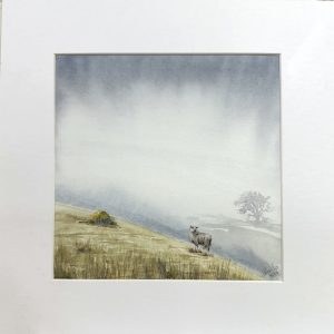 Misty background with a hill and a lonely sheep looking at the camera